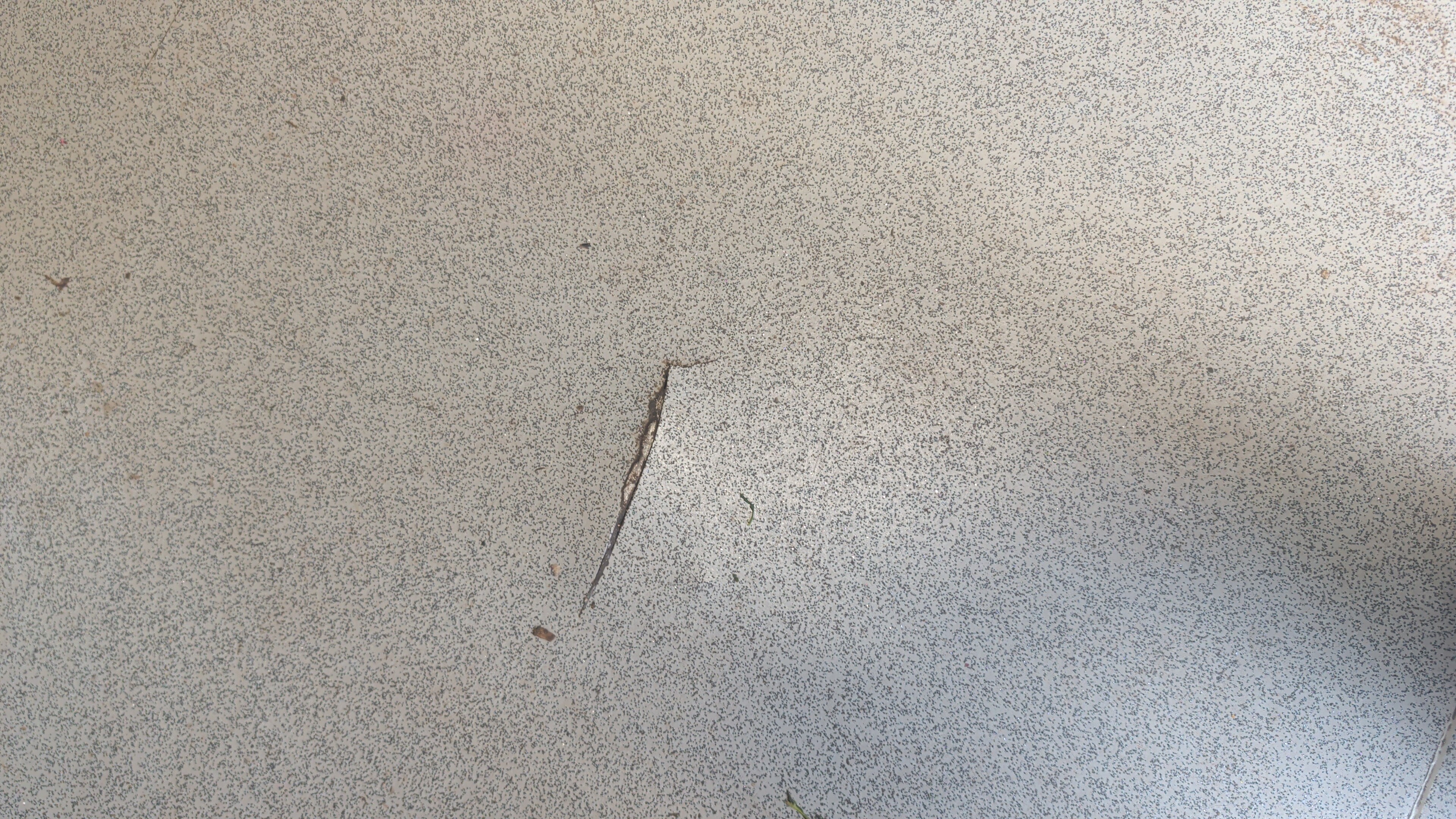 Commercial vinyl flooring job in DT6